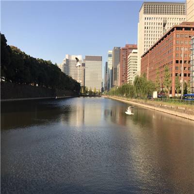 香港资料大全app下载