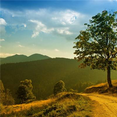 加拿大28手机app下载